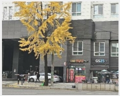  2024Ÿ120408  빮 ջ 77, 3312ȣ (ε,빮׽Ʈ2)     ǽڰ