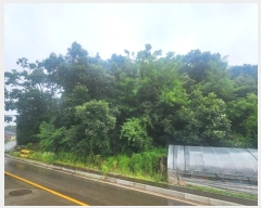  2024Ÿ3742  õ ̻ 鼮 10-3      (Ӿ)