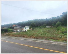  2024Ÿ3742  õ ̻ 鼮 10-3      (Ӿ)