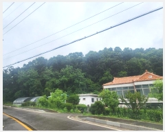  2024Ÿ3742  õ ̻ 鼮 10-3      (Ӿ)