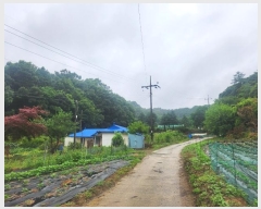  2024Ÿ3742  õ ̻ 鼮 10-3      (Ӿ)