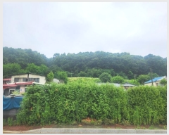  2024Ÿ3742  õ ̻ 鼮 10-3      (Ӿ)