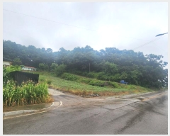  2024Ÿ3742  õ ̻ 鼮 10-3      (Ӿ)