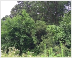  2024Ÿ3742  õ ̻ 鼮 10-3      (Ӿ)