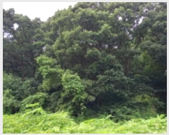  2024Ÿ3742  õ ̻ 鼮 10-3      (Ӿ)