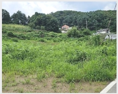  2024Ÿ��3933 ��� ���ֽ� ������ ȿ�̸� 528      ����(��1)���