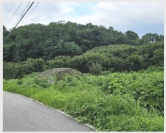  2024Ÿ��3933 ��� ���ֽ� ������ ȿ�̸� 528      ����(��1)���