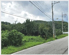  2024Ÿ��3933 ��� ���ֽ� ������ ȿ�̸� 528      ����(��1)���