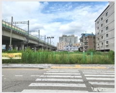  2024Ÿ��82356  �������