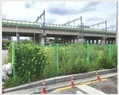  2024Ÿ��82356  �������