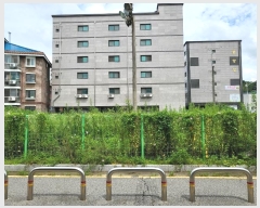  2024Ÿ��82356  �������