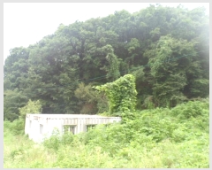  2024Ÿ82950  (󰡽ü)