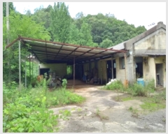  2024Ÿ82950  (󰡽ü)