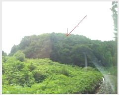  2024Ÿ82950  (󰡽ü)