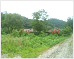  2024Ÿ82950  (󰡽ü)