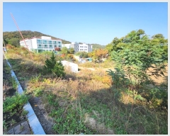  2024Ÿ88057  ֽ  ϸ 55      (Ӿ)