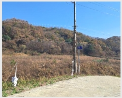  2024Ÿ��88163  �Ӿ߰��