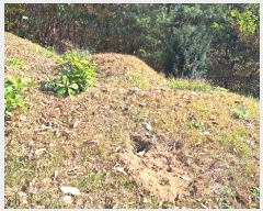  2024Ÿ��88163  �Ӿ߰��