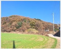  2024Ÿ��88163  �Ӿ߰��