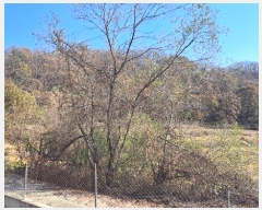  2024Ÿ��88163  �Ӿ߰��