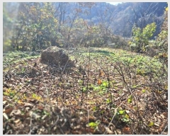  2024Ÿ��88163  �Ӿ߰��