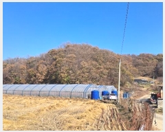  2024Ÿ��88163  �Ӿ߰��