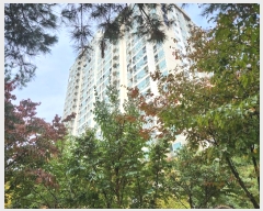  2024Ÿ��88514 ��� �����ν� ȣ����1142���� 22, 109�� 13�� 1301ȣ (���ɵ�,������Ｑ)   ����Ʈ���