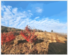  2024Ÿ��89739  �ٸ��ü����