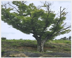  2024Ÿ��89739  �ٸ��ü����