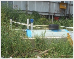  2024Ÿ��4721 ��� �����ν� ���ɵ� 683-36       ����(����)���