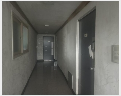  2024Ÿ5694  ν 絿 386-8       ٰð