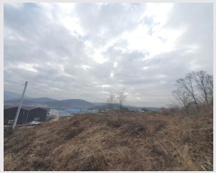  2024Ÿ7065  õ  ̵ 655-9      (Ӿ)