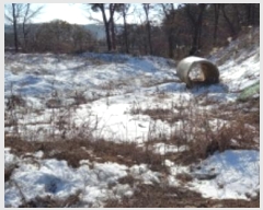  2024Ÿ7065  õ  ̵ 655-9      (Ӿ)