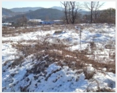  2024Ÿ7065  õ  ̵ 655-9      (Ӿ)