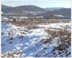  2024Ÿ7065  õ  ̵ 655-9      (Ӿ)