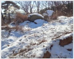  2024Ÿ7065  õ  ̵ 655-9      (Ӿ)