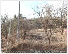  2024Ÿ72182  õ ž 184-2       (Ӿ)