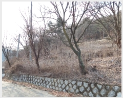  2024Ÿ72182  õ ž 184-2       (Ӿ)