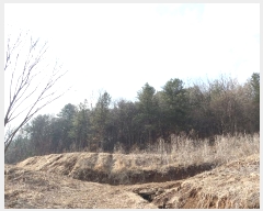  2024Ÿ72182  õ ž 184-2       (Ӿ)