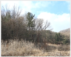  2024Ÿ72182  õ ž 184-2       (Ӿ)