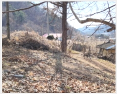  2024Ÿ73543  ֽ  žϸ 24-1      (1)