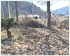  2024Ÿ73543  ֽ  žϸ 24-1      (1)