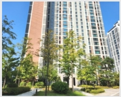  2024Ÿ87092  ֽ 1 60, 1509 10 1001ȣ (,Ѽ۽Ʈ)   Ʈ