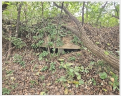  2024Ÿ��87245 ��� ��õ�� ���ϸ� ��õ�� ��20-1      ����(�Ӿ�)���