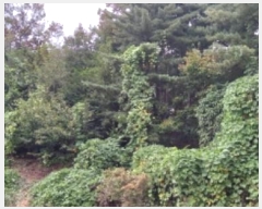  2024Ÿ��87245 ��� ��õ�� ���ϸ� ��õ�� ��20-1      ����(�Ӿ�)���