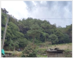  2024Ÿ��87245 ��� ��õ�� ���ϸ� ��õ�� ��20-1      ����(�Ӿ�)���