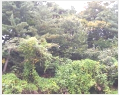  2024Ÿ��87245 ��� ��õ�� ���ϸ� ��õ�� ��20-1      ����(�Ӿ�)���