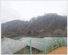  2024Ÿ��90241 ��� ��õ�� û��� ��ź�� 959      ����(��1)���