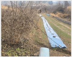  2024Ÿ��90241 ��� ��õ�� û��� ��ź�� 959      ����(��1)���