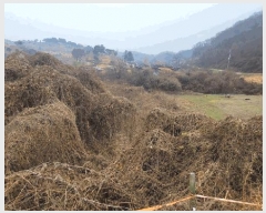  2024Ÿ��90241 ��� ��õ�� û��� ��ź�� 959      ����(��1)���